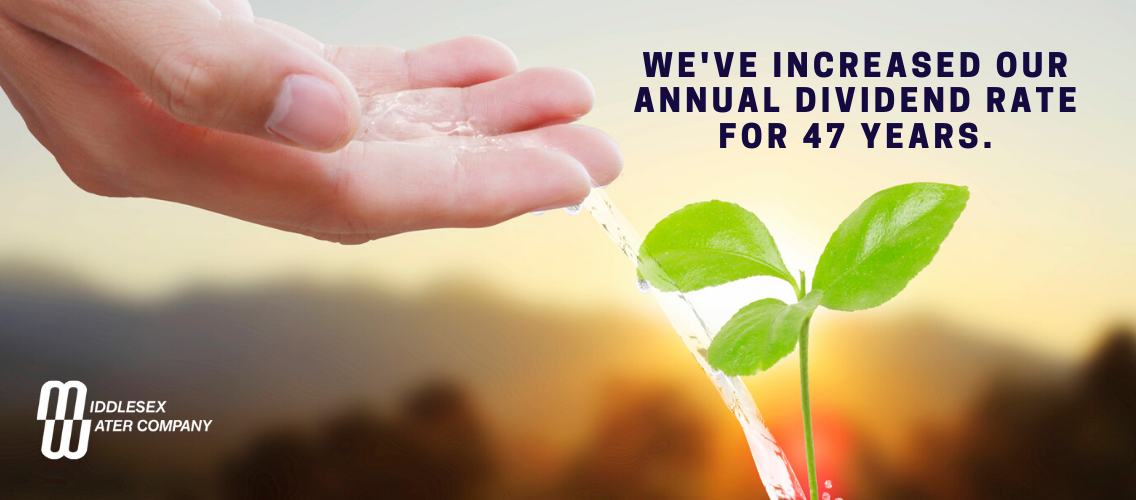 Middlesex Water Company Investors